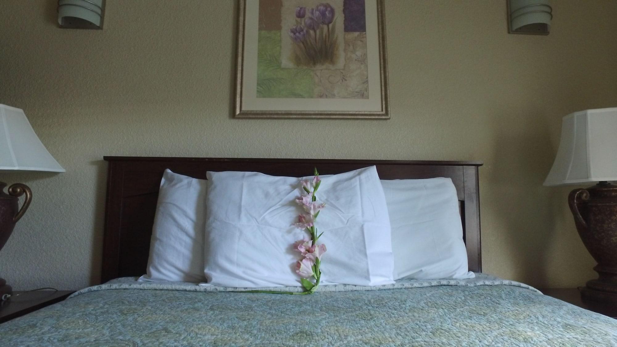 Athens Hotel & Suites Хюстън Екстериор снимка